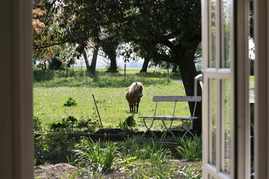 Ferienwohnung Ferielejlighed Pa Rodkaergard Kerteminde Exterior foto