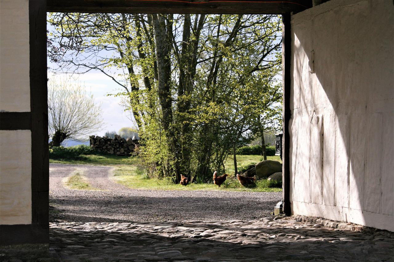 Ferienwohnung Ferielejlighed Pa Rodkaergard Kerteminde Exterior foto